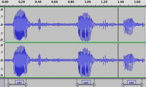 Wave forms of poet Joe Ceravolo saying "oak"