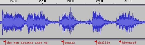 Waveform representation of words from Lisa Robertson poem